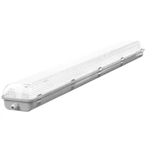 Fluorescent Light
