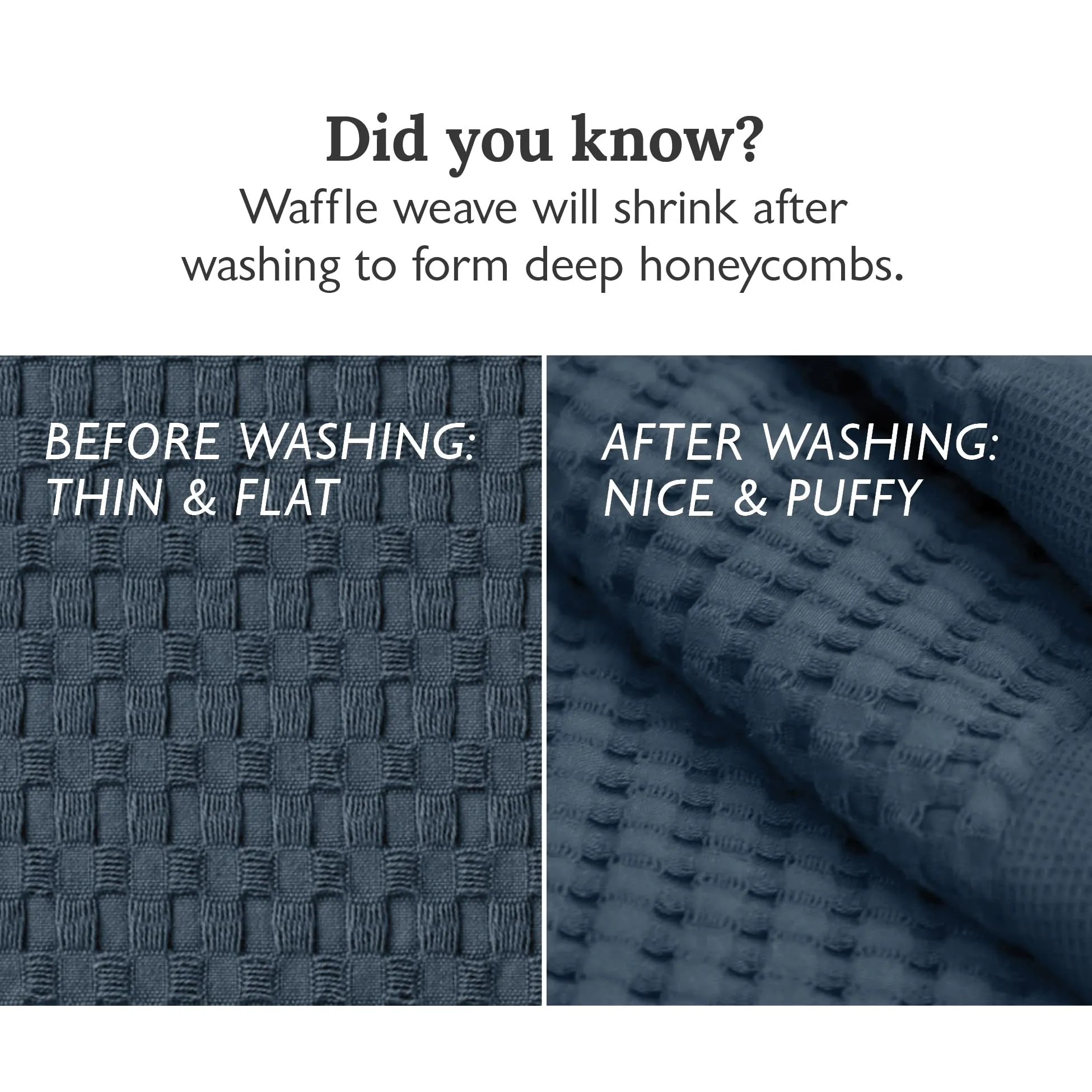 GILDEN TREE: Bathroom Mat - 100% Cotton, Fast Drying, Super Absorbent