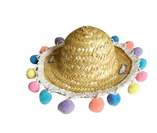 Pet Accessories