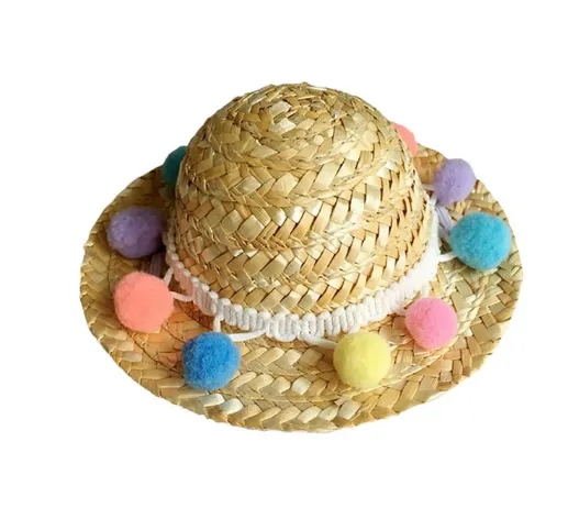 Pet Accessories