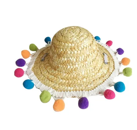 Pet Accessories