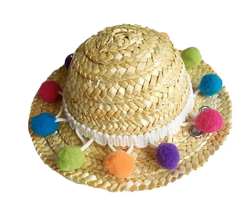 Pet Accessories